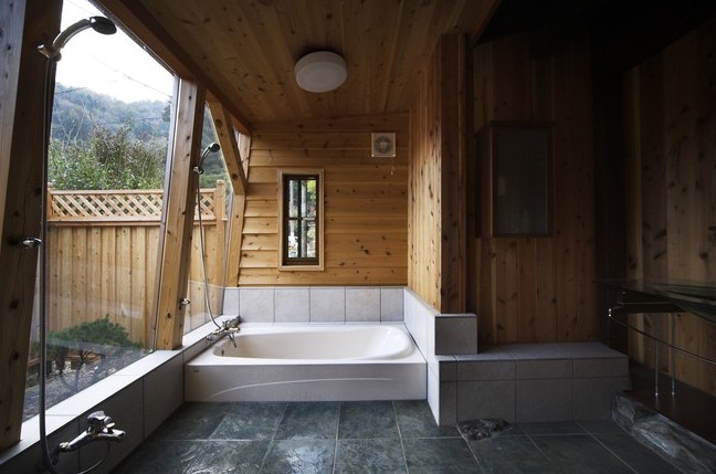 ����F��Ԫ�ص��ձ��vʷ��լ