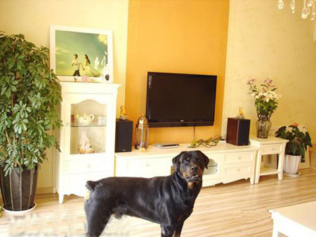 164ƽ������@���к��鷿(��)