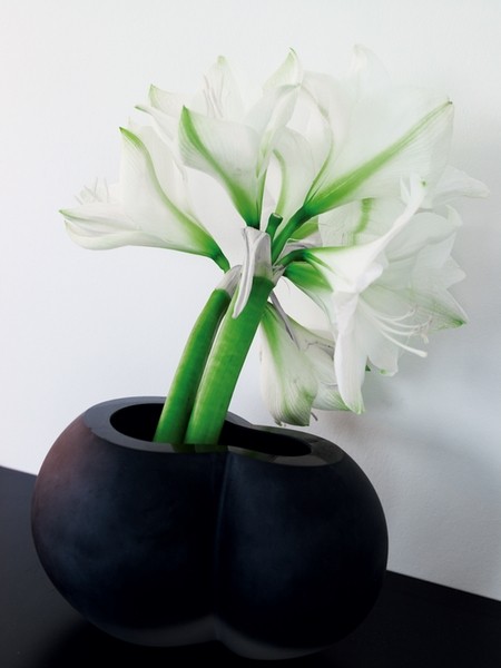 �籾�����x�u���۹�Ԣ