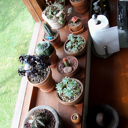 �OӋ��Geninne�ď͹���@�Ϸ�