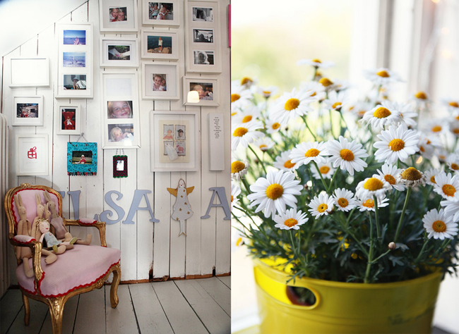 �͹��L���黨�����ǹ�ɫС��