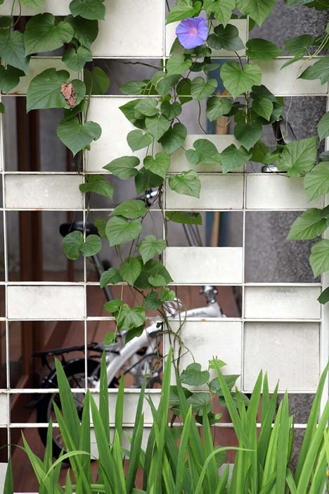 С���g���ǻ۶��С����Ԣ