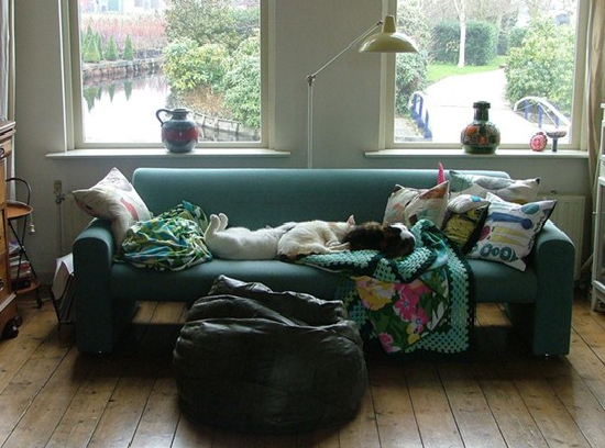 ���º��m֮�ҵĹŘ��Ϣ