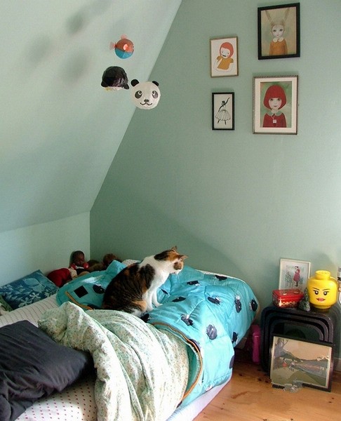 �Ř��Ϣ�͹ŵĺ��m֮��