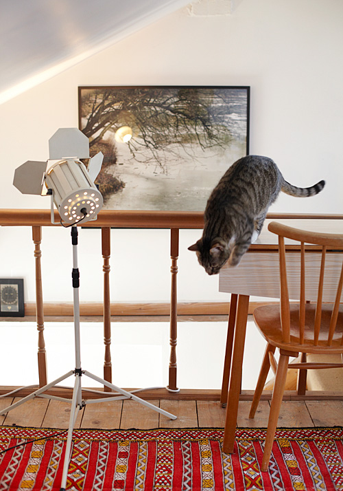 �r�в����ζ¶���c����¼�