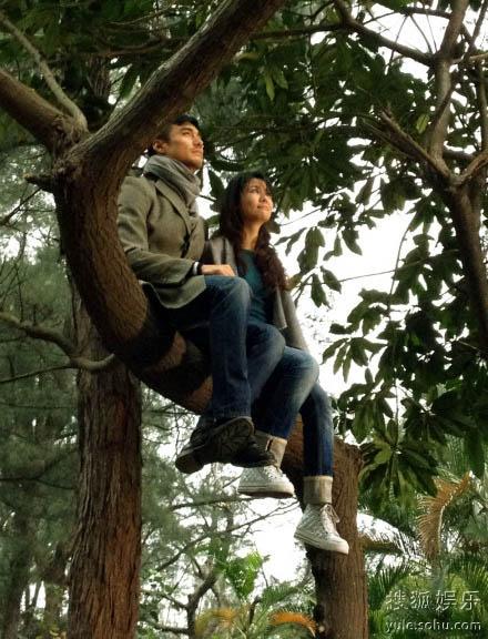 ������������չٺ�����۷������^��ʹ��