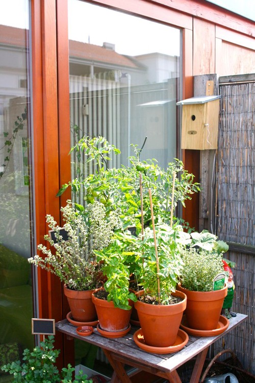 ����Ů�ƌW�ҵ�95ƽ���ӹ�Ԣ