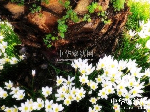 ���z�Ҽ����ƌW���o����F��