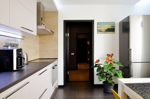 Kiev��Ԣ���`���\(y��n)��ɫ�ʵĕr(sh��)�п��g