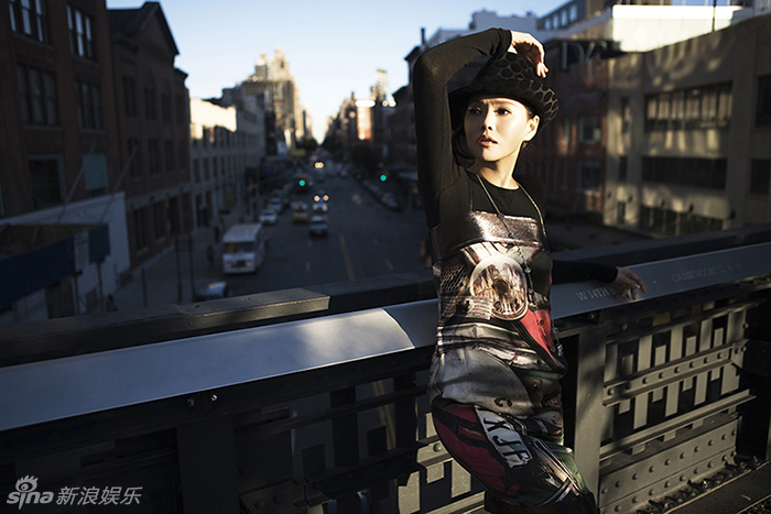 �����oӲ�Ɍ���������f������