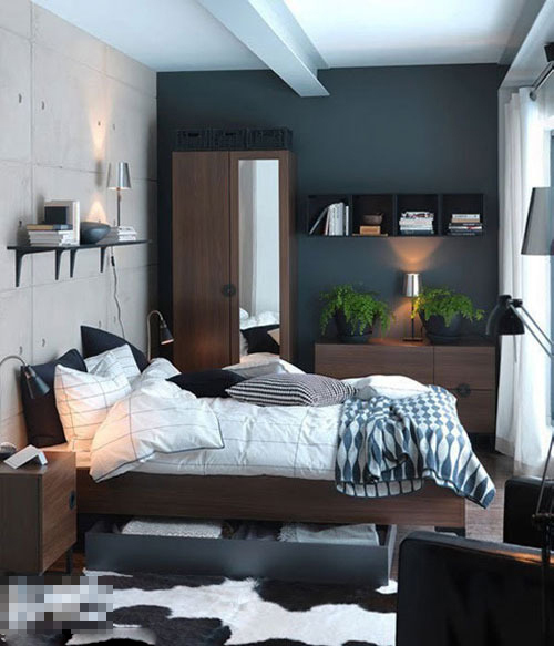 һ�ݶ���С�P�ҵĶ๦�ܻ��OӋ