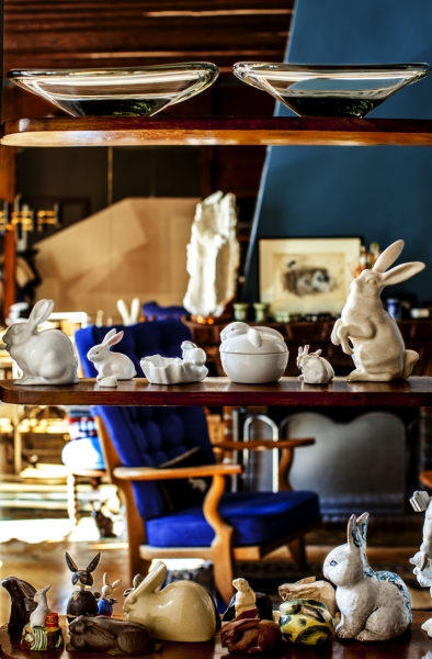 ShinsukeKawahara�İ�����ù�Ԣ