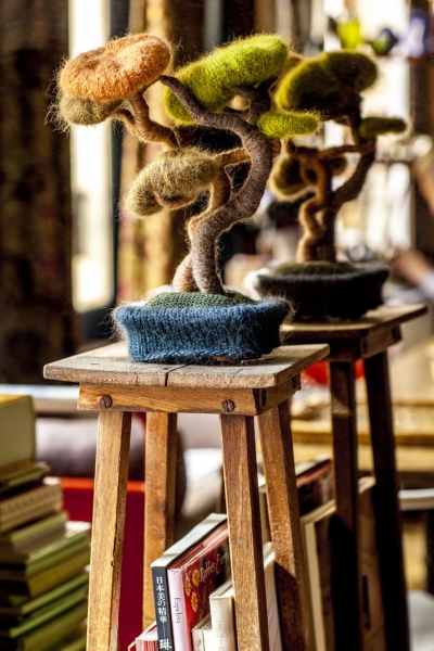 ShinsukeKawahara�İ�����ù�Ԣ