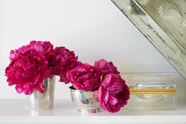 ���������탞(y��u)�ŵĹ�Ԣ