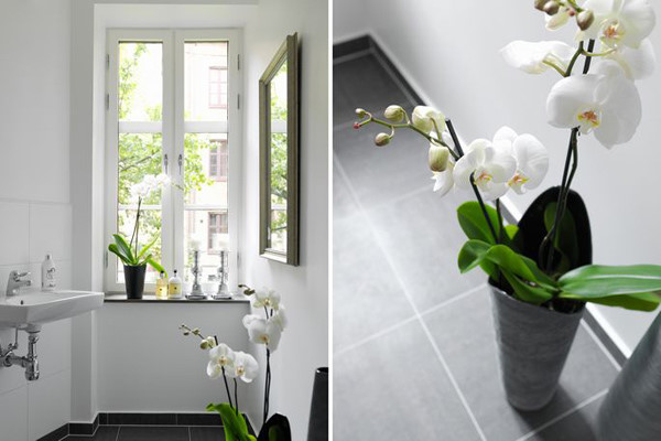 59ƽ������Ҏ���I�쌒�ɿ��g