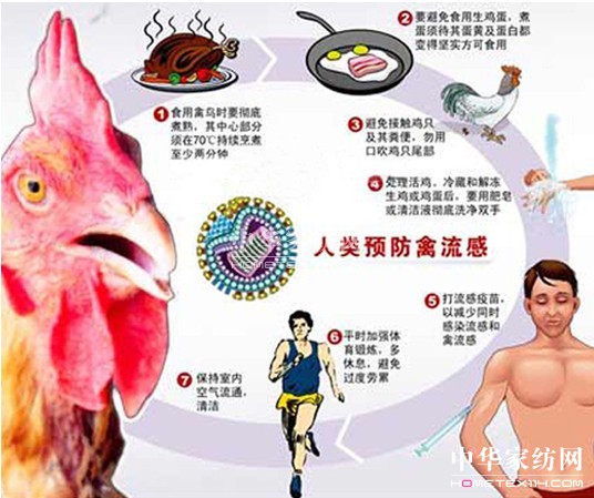 ���ҽ��x�A��ָ�ϼ����o��ʩ