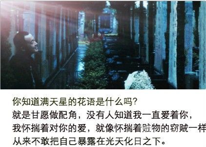 �P�c�����ഺ���Ϗ��Z䛸��ֱ���I�c