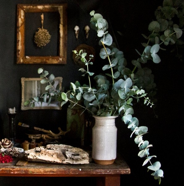 Ϥ��ˇ�g(sh��)��Charlie�ď�(f��)�ż�