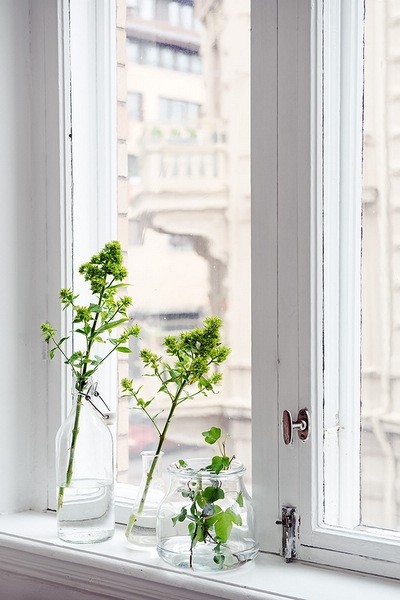 ��һ���gһ���c�����2���F����Ԣ