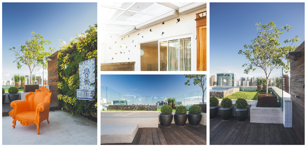 ����һ��ʽ��Ԣ