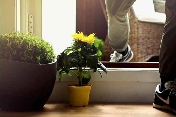 �w���ϵĺ��s����������¹�Ԣ