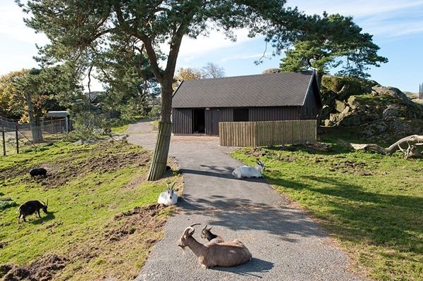 ���ϰl(f��)չ���33ƽ��С���͹�Ԣ