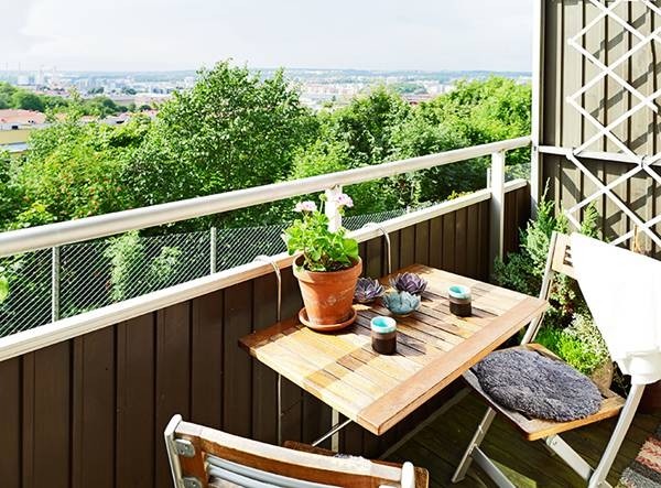 ���ϰl(f��)չ���33ƽ��С���͹�Ԣ