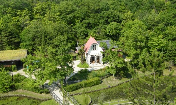 �挍��m���E����؈��͸��e��