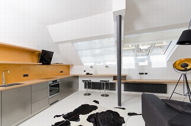 ������ڰ��w��