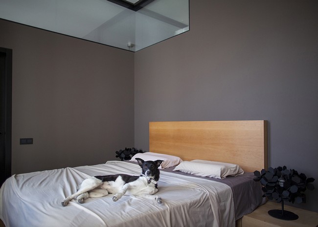 LoftС���͹�Ԣ