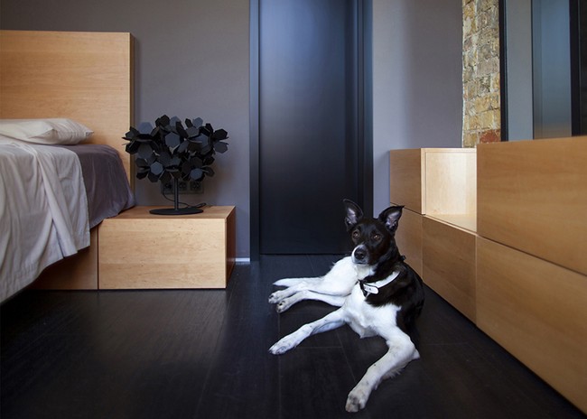 LoftС���͹�Ԣ