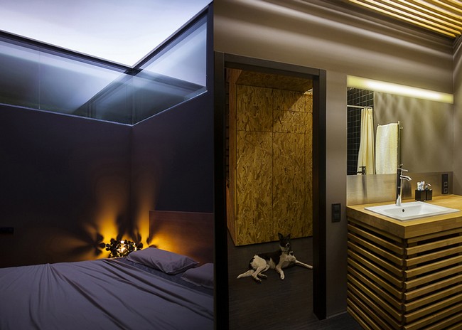 LoftС���͹�Ԣ