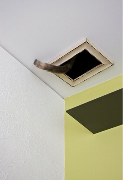 ؈�䌙���ձ������؈֮��