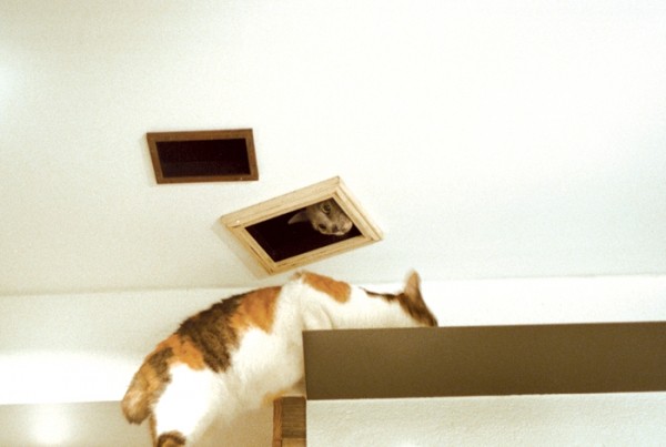 ؈�䌙���ձ������؈֮��