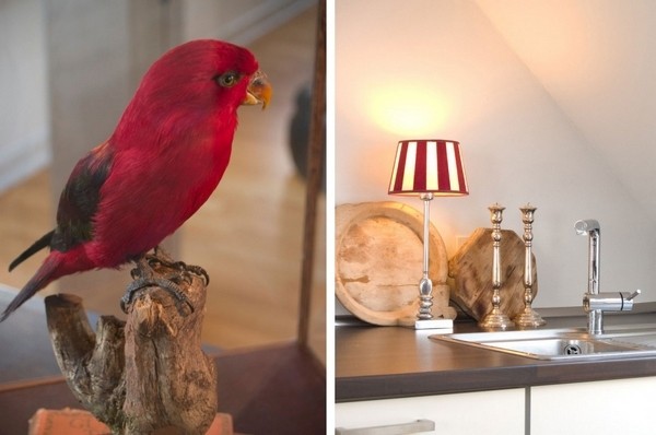 ����һ��Ĳ�ɫ�w��(һ)