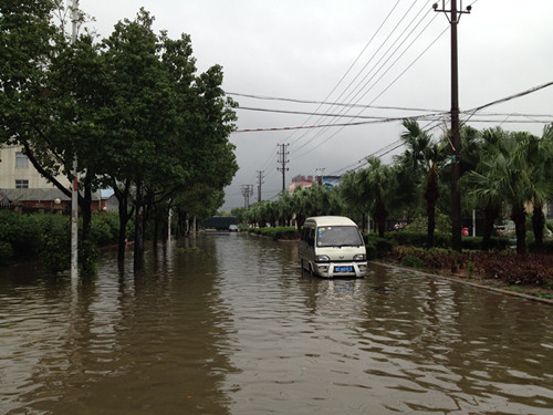 �����ء��_�L����n�� ʢ��_�Ȟē��U