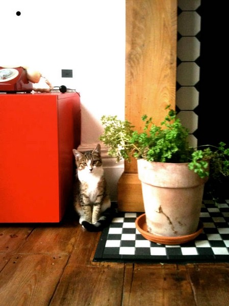 MaddalenaCannarsa溫暖安寧的家