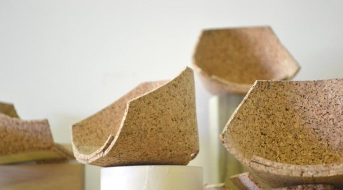 ܛľ��������