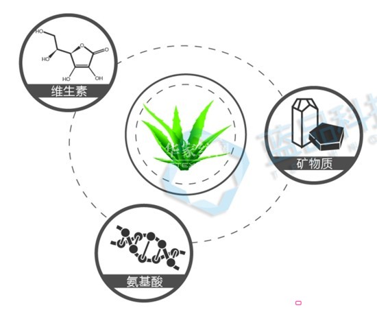 �{Ʒ���J�C���w�S ����ȫ�´�Ʒ�w�