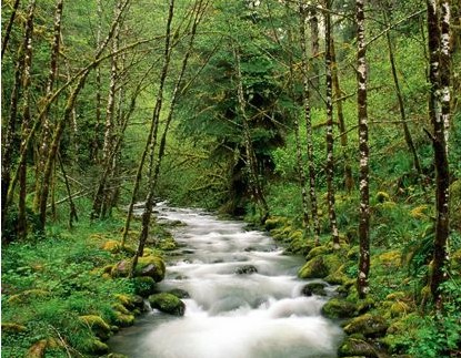 3D�Ҽ��o�Ҏ���ȫ��ҕ�X�_��