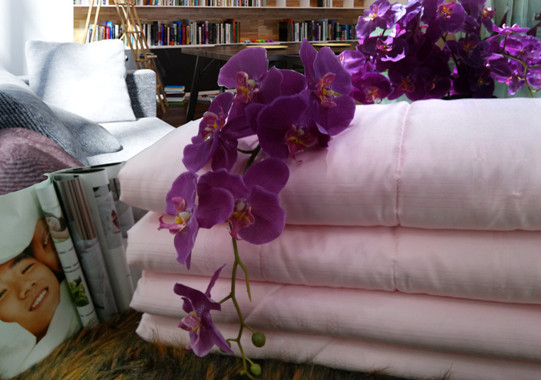 登喜鳥:春暖被芯心向光明健康常在