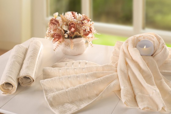 夏津縣召開棉紡織企業(yè)家座談會