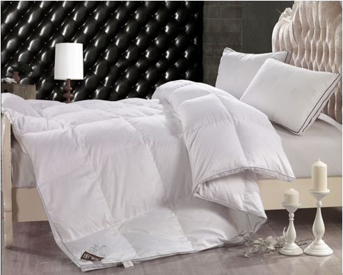 ���ˍu����q���ı��B(y��ng)֪�R(sh��)