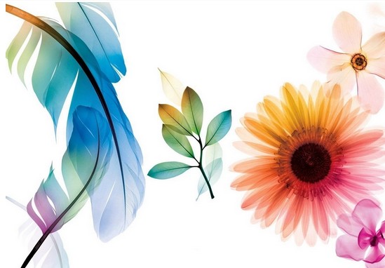 �Ҽ���I��Ώ�