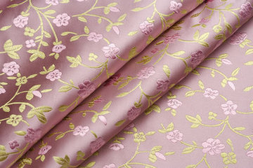 南充絲綢文化研究會(huì)開展交流活動(dòng)