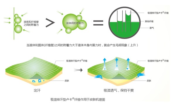 �{Ʒ����R���w�S����ˬ˯�߲��ǉ���