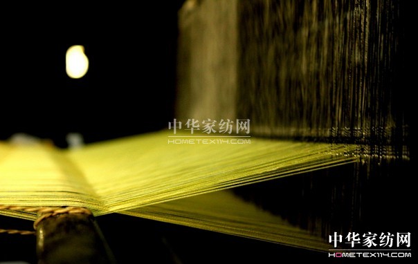 江西省繭絲綢協(xié)會(huì)成立大會(huì)南昌召開