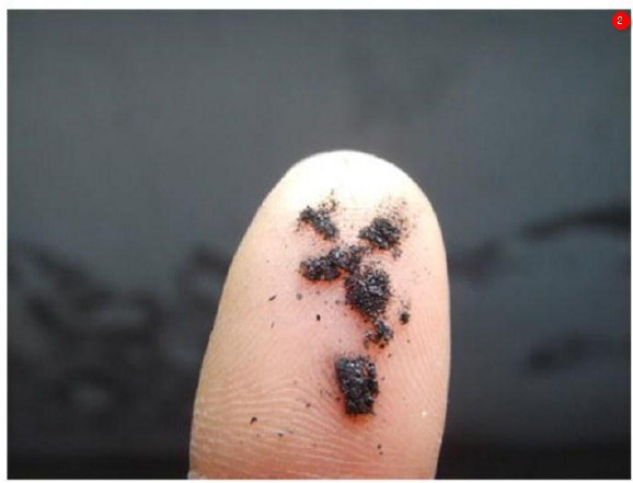 真假蠶絲被的鑒別方法有哪些