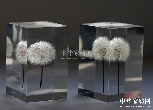 晶瑩剔透的蒲公英冰塊燈