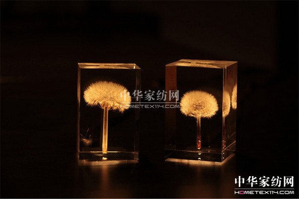 晶瑩剔透的蒲公英冰塊燈